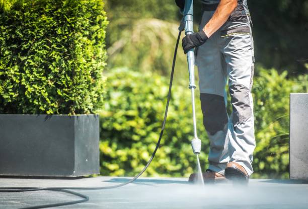Best Boat and Dock Cleaning  in Farmersburg, IN