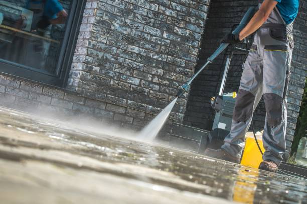 Best Animal Enclosure Cleaning  in Farmersburg, IN